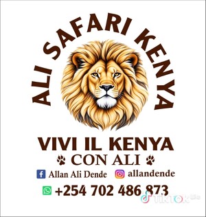 Ali Safari Kenya Logo